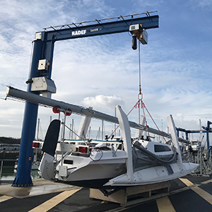 Jib and gantry cranes