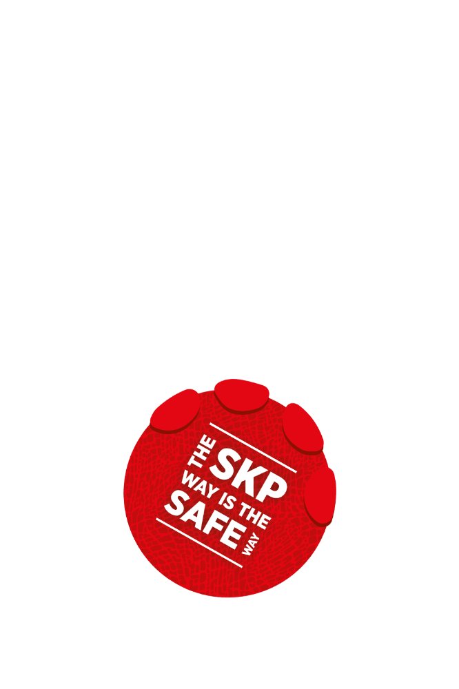 test-the-safe-way-skp-02