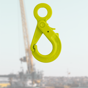 Safety hooks
