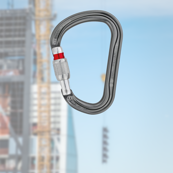 Petzl carabiners